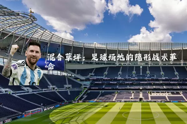 混合草坪：足球场地的隐形战术革命